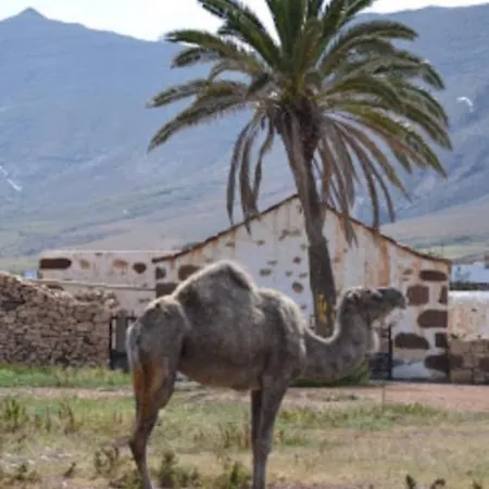 Vv Casa Josue Caleta De Fuste